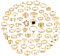 CASSIECA 64 PCS Vintage Gold Knuckle Ringe Set Boho Schmetterlings Schlange Stapelbare Fingerringe für Frauen und Mädchen Silberne Midi Ringe