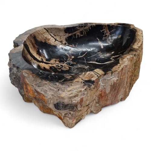 Versteinertes Holz Waschbecken XXL - Fossiles Holz Aufsatzwaschbecken - Waschschale aus Naturstein mit verschiedenen Maserungen und Farbverläufen (Variante 35)