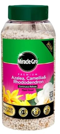 Miracle Gro Azalea, Camellia & Rhododendron Continuous Release Plant Food 900g, Promotes Vibrant Blooms & Healthy Growth, Slow-Release Fertilizer for Acid-Loving Plants, Long-Lasting Nutrition