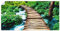 ARTLAND Wanddeko Poster & Kunstdrucke Wandposter 40x20 cm Querformat Natur Landschaft Dschungel Urwald Regenwald Pflanzen T3GH