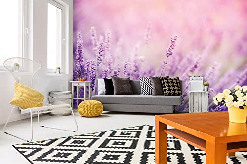 Vlies Fototapete LAVENDEL 375 x 250 cm (inkl. Kleister) - Vlies Tapete, Wandtapete, Wandbilder - Tapete für Wohnzimmer Schlafzimmer, Büro, Küche - Montagefertig