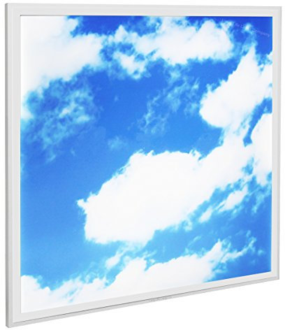 Long Life Lamp Company 40w Sky LED Ceiling Panel 600 x 600 Cloud Scene Recessed Office Light with Transformer
