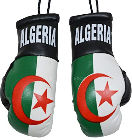 BeCreative Paire de gants de boxe pour rétroviseur de voiture (Algérie)