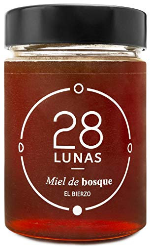 Miel de Bosque - 100% Natural Pura de Abeja, Cruda, 450gr - Origen: El Bierzo, España