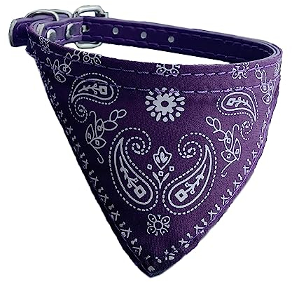 Newtensina Mode Hundebandana Halsband HundeHalsband Junge Mittel Bandana Hündchen Bandana mit Halsband für Hunde - Purple - S