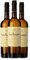 Pérez Barquero Gran Barquero Fino Pedro Ximénez Montilla-Moriles 75 cl Vino generoso (Caja de 3 Botellas de 75 cl)