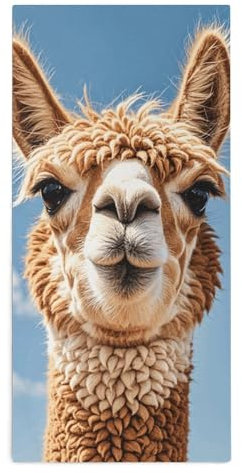 VFKLT Große Badetücher, Alpaka-Lama, bedruckt, Strandtuch, Küchentücher, saugfähiges Handtuch, Badetücher für Damen und Herren, täglicher Gebrauch zu Hause