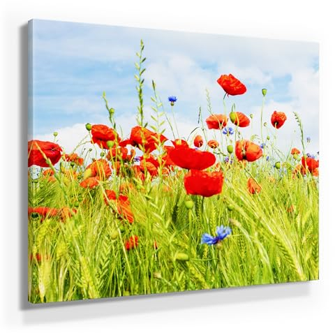 Mohn im Sommer als Leinwandbild, 80x80cm groß und 9 weitere wunderschöne Mohnblumen Bilder als Wandbild in 7 Formaten. Ideal als Dekobild für alle Zimmer. Fertig aufgespannt auf Holzrahmen