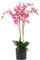 Leaf Design UK Realistic Artificial Orchid Flower Display in Pot, 60cm Pink