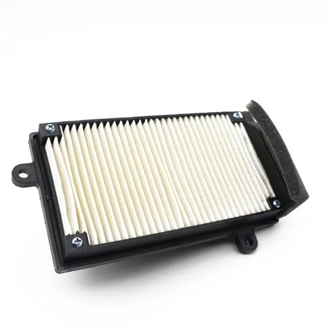 Filtro Aspirazione Aria Moto Per SYM Per TL 500 508 Per TL500 TL508 Moto Filtro Aria Filtrazione Olio Filtro Aria per Moto(Sinistra)