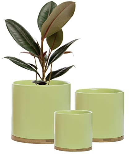 Olly & Rose Set 3 Keramik Pflanztöpfe mit Bambus Untersetzer Indoor Pflanzgefäße Weiß Topf Ser Keramik Blumentöpfe Behälter Outdoor Groß, Mittel, Klein mit Untersetzer (Grün)