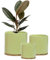 Set 3 Ceramic Plant Pots with Bamboo Coasters Indoor Planters White Pot Ser Ceramic Flower Pots Containers Outdoor Large, Medium, Small with saucers (Green)