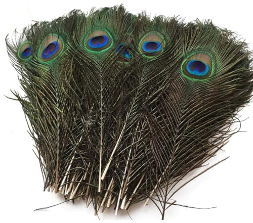 20x Natürliche Pfauenfedern, 25-30CM, deko federn, pfauenfeder, für DIY Craft & Kopfdekorationen, ideal für Hüte & Pfau-Deko.Pfauenfedern lang.
