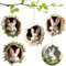 IHLOOTD Osteranhänger Hase Ostern Deko,5 Stück Osterschmuck zum Aufhängen, Osterdeko Zum Aufhängen, Acryl Anhänger Ostern, Osterhase Deko, Osterhase Anhänger für Ostern Deko und Geschenk (Weiß)