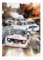 MINSEOK Wasserfarben-Poster, Raumdekoration, Premium-A3-Kunst, Altes Auto, Perfekte Wandkunst, Geschenk, Dynamische Rallye-Sportwagen