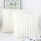 OYIMUA Creme Weiß Kissenbezug 50x50 2er Set Flauschig Kuschelkissen Plüsch Kissenbezüge Dekokissen Weich Pelz Kissenhülle Luxus Sofakissen Quadratisch Deko Kissen