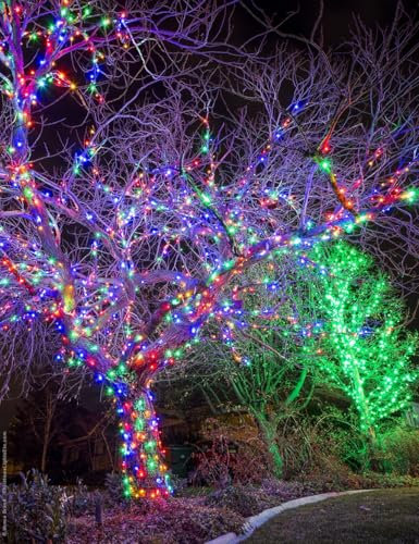 2m x 2m Connectable Outdoor Indoor Net Christmas Xmas Timer 120 Lights Garden UK (Battery) (Multi-Coloured)