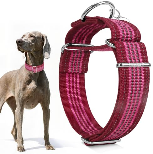 Dazzber 4cm Martingale-Hundehalsband, ausbruchsicher und rutschfest, extra Starkes reflektierendes Nylon, Verstellbarer zweifarbiger Streifen für mittelgroße bis große Hunde (M-Burgunderrot & Pink)