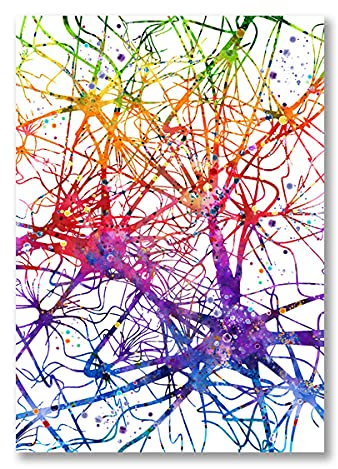 Gehirn Neuron Zellanatomie Kunstdrucke Gehirn Neurologie Medizinische Wissenschaft Poster Anatomische Biologie Dekor Leinwand Malerei Ungerahmt-50x70cm