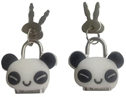 Lot de 2 cadenas avec clés pour valise, boîte à bijoux, sac à main, mini cadenas de sécurité pour sac à dos, casiers, armoire, cadeau pour enfant