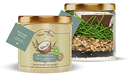 Terra Canis Gelenk-Paste mit Kokosöl, Kollagen, Glucosamin, Schachtelhalm & Teufelskralle, 250ml I Premium Hunde-Nahrungsergänzung zur Unterstützung eines gesunden Bewegungsablaufes