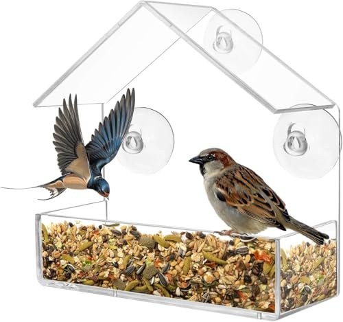 Vogelhaus Fensterscheibe Transparenter. Futterhaus Für Vögel Mit 3 Saugnäpfen Für Das Fenster. Vogelhaus Für Draußen, Entwickelt Um Wildvögel Anzulocken. Wetterfest Und Einfach Zu Montieren.