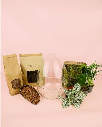 Kit Terrario OVO DIY | Terrario Plantas Cristal | Pur Plant