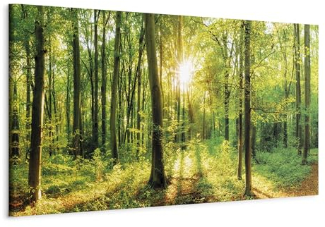 B&D XXL - Akustikbild Wald 120x40 cm 1 tlg Bilder Akustikschaum Schallschutz Kunst Akustikpaneele Wandpaneele Schalldämmung Wandbild Schallabsorber Waldlandschaft Natur Panorama c-B-0184-b-a