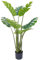Pianta Finta Da Interno Artificiale Grandi Varie Altezze 100/150/180 Cm Artificiali Vari Modelli Modellabili Decorazioni Casa Ufficio - Monstera - Altezza 100cm