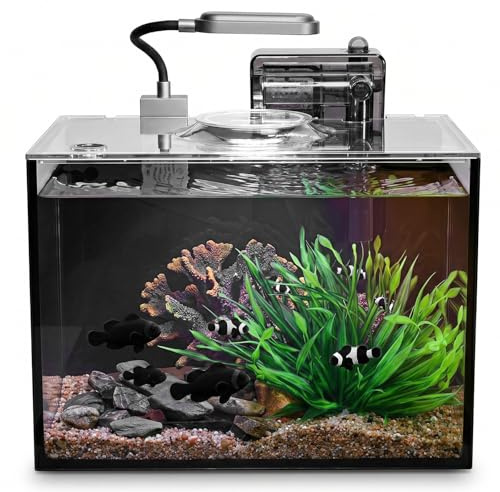 Ultraklares, randloses Tisch-Aquarium (schwarz, 2 Gallonen (komplettes Set)