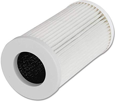 QUEENTY HEPA Air Purifier for Bedroom Home - Portable Air Cleaner with True H13 Filter & Ionizer for Allergies, Smoke, Pet Dander, Pollen, Odors - 2 Quiet Speeds (White) (Beige)