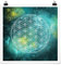 Poster Blume des Lebens im Licht der Sterne, Selbstklebend seidenmatt 50 x 50cm