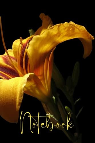 Daylily Notebook: Yellow Daylily Flower Notebook, lily Composition Notebook, College Ruled 6x9 Inches 120 Pages.