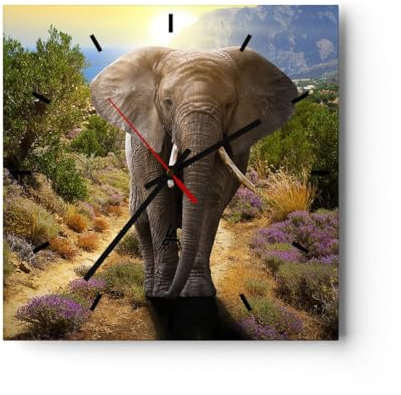 Modern Wanduhr Tiere Afrika Elefanten Spaziergang 30x30cm Quadrat Klein Wand Uhr Glas Analog Zimmeruhren Küche Büro Wohnzimmer Glasuhr Wall Clock Dekoration Design Küchenuhr C3AC30x30-2708
