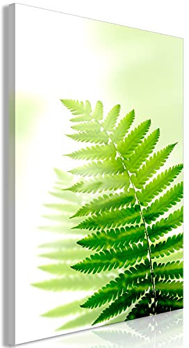 murando - Wandbilder XXL Farn 80x120 cm 1 tlg - Wand Deko Vlies Leinwand Bilder Groß Wanddeko Wohnzimmer Schlafzimmer Kunstdrucke - Pflanzen Natur b-C-0591-b-a