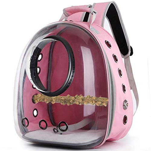 AXZDTH Vogel Transporttasche Papagei Rucksack Pet Blase Atmungsaktiv Rucksack für Kleine Pet Papageifür Outdoor Wandern Radfahren Tägliche Verwendung