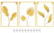 Gold Wanddeko Metall 3D Wandskulpturen 3 Pack mit 10 Bilderhaken, Blätter Kunst Hängen Ornament, Rechtecke Wand Dekoration Wohnzimmer Schlafzimmer Hintergrund Wanddekoration