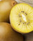 Plante de KIWI jaune 'Golden Delicious' Plante Femelle - en pot Ø 20 cm - H. 150/170 cm