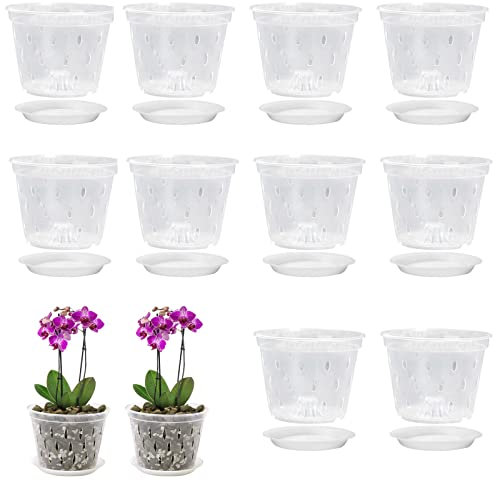 10 Pots à orchidées Transparents - 14 c - en Plastique - avec Trous et soucoupes - pour l'extérieur - pour la Plantation Fleu , d'orchidée, Serpent - Violet