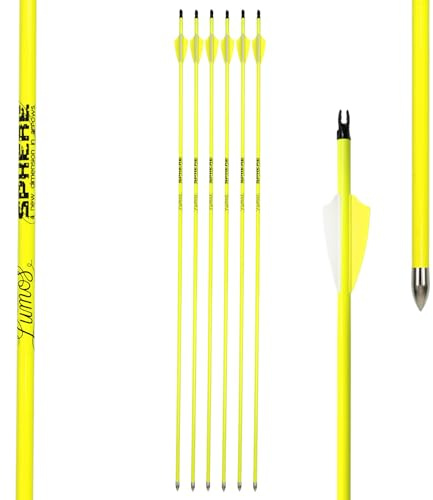 Sphere 6 Stück Carbonpfeile 30 Zolll 32 Zoll Jagdpfeile Leuchtpfeile Bogenpfeil mit Pfeilspitze für Recurvebogen Compoundbogen Pfeile für Anfänger und Profis Neon Gelb und Orange