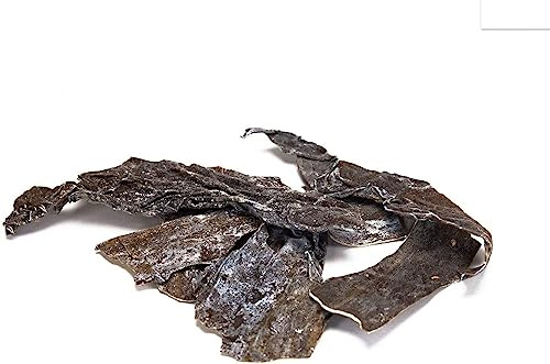 NatureHolic - AlgaePlate Naturbeschnitt - für Aufwuchsfresser & Wochenendfutter für Garnelen, Schnecken und Welse im Aquarium - 10 g