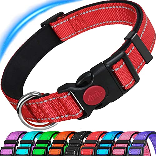 ATETEO Dog Collar, Reflective Adjustable Basic Dog Collar with Soft Neoprene Padding, Durable Nylon Pet Collars for Puppy Small Medium Large Dogs,Red,M: 13-19.7 inch