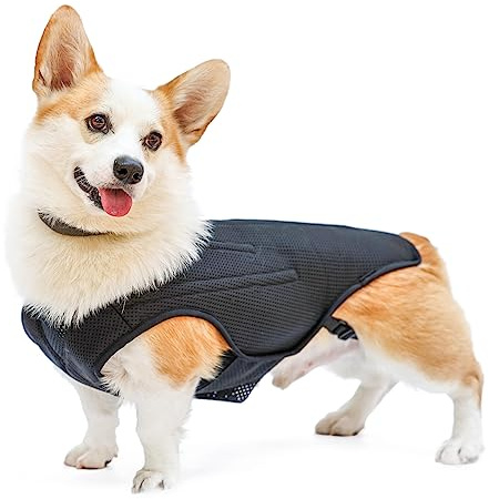 RUIFAR IVDD Rückenbandage für Hunde, flexible Haustier-Dackel-Rückenstützweste, Hunde-Rückenbandage für kleine Haustiere mit Arthritis, Rückenschmerzen, Bandscheibenvorfall, chirurgische Genesung der