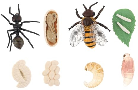 Modelo de Ciclo de Crecimiento de Abejas y Hormigas, 2 Juegos | Plástico Ligero, Modelos Artificiales Realistas, para Enseñanza Escolar, Fácil de Agarrar, Estimula Imaginación