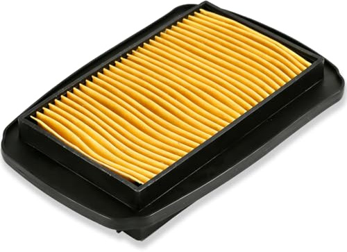 BOLOJAU MT 125 Filtro aria per Yamaha Filtro aria per moto YZF-R 125 WR 125 | 3C1-E4450-00, HFA-4106 per Yamaha MT 125 2014-2019, WR 125 2009-2017, YZF-R 125 2008-2018