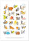 kizibi® ABC Poster DIN A2 für Kinderzimmer, Alphabet Poster für Mädchen und Jungen, Buchstaben zum Lernen, Tier Lernposter mit Buchstaben | für den Kindergarten, Vorschule oder Grundschule