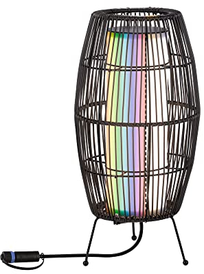 Paulmann 94754 Plug & Shine LED Lichtobjekt Basket Smart Home Zigbee IP65 3,2W 180lm dimmbar 400mm Schwarz Metall/Kunststoff RGBW