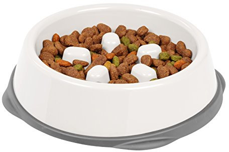 IRIS USA Slow Feeding Bowl For Short Snouted Pets, White/Gray, Small