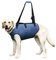 Coodeo Hundeliftgeschirr, Haustierunterstützung & Rehabilitation Sling Lift Verstellbare Gepolsterte atmungsaktive Gurte für Alt, Gelenkverletzungen, Arthritis, Stabilitätsverlust Hunde(Blau, L)