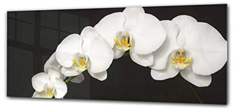 Modernes Glasbild 125 x 50 cm – Orchidee 1